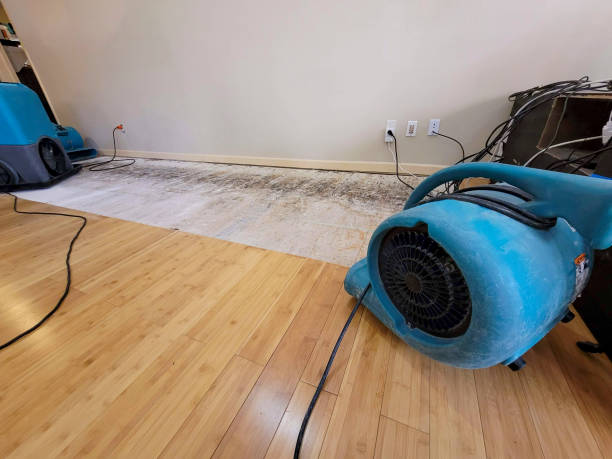 Professional Ceiling Water Damage Repair technician working in Sunderland, MD